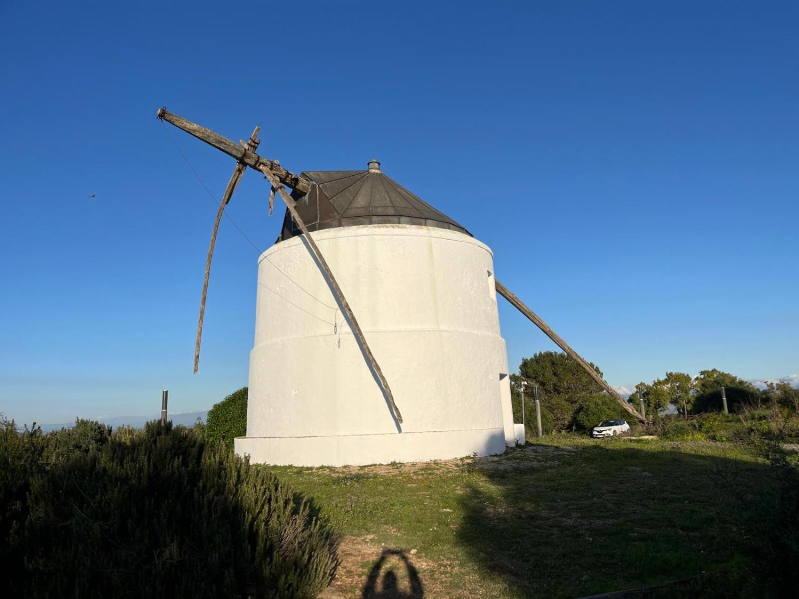 Estudio Los Mellis Vejer de la Frontera Buitenkant foto