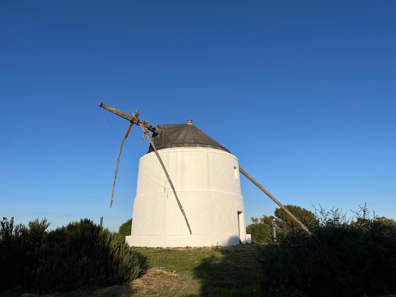 Estudio Los Mellis Vejer de la Frontera Buitenkant foto